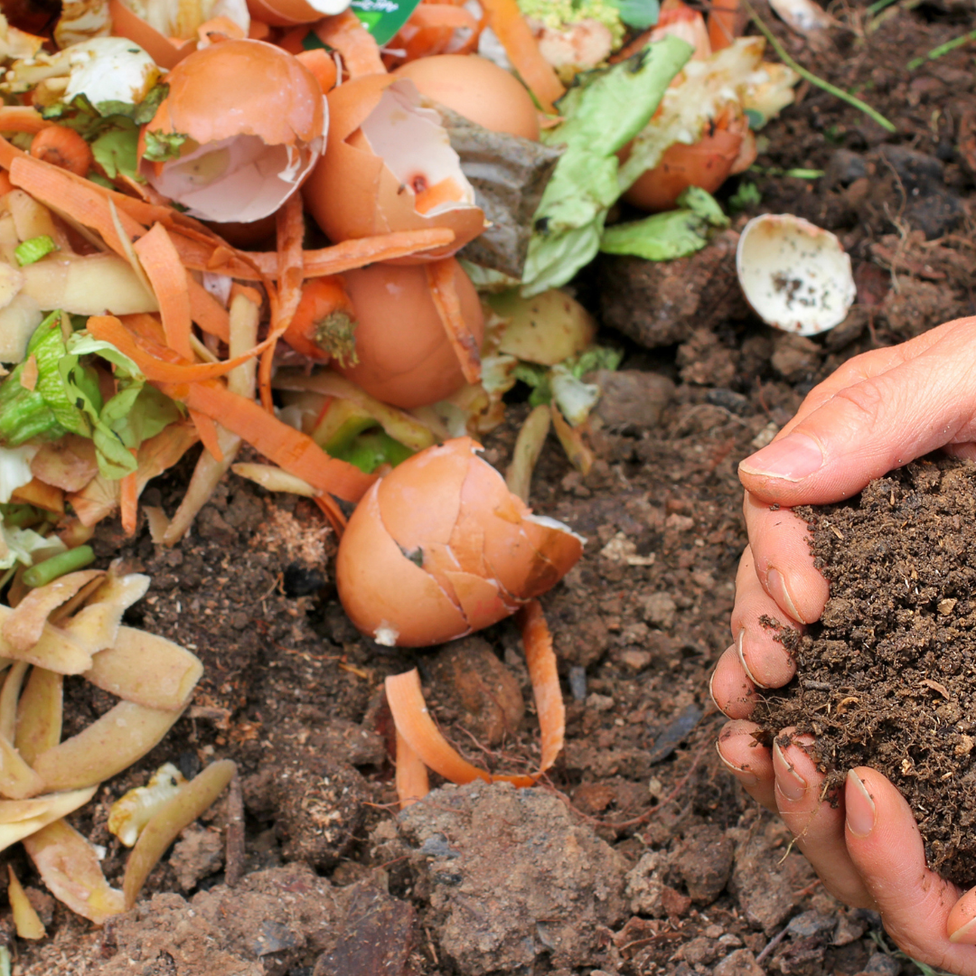 Affrontare la crisi globale dello spreco alimentare